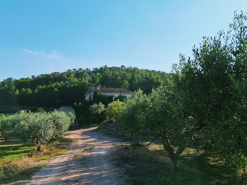 Finca i Rasquera, Tarragona - foto 3